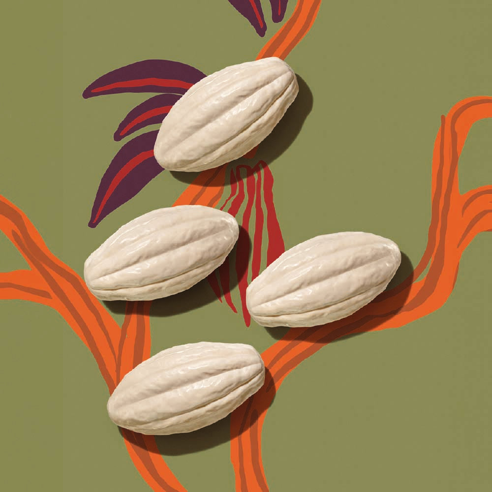 NATURA EKOS CACAU (COCOA) GIFT BOX BAR SOAP 400G